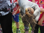 Vykopali jsme hřbitov odpadků